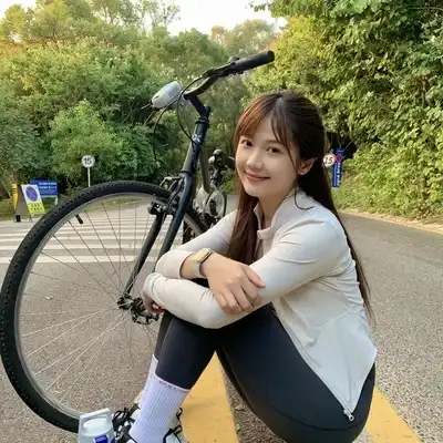 龙飞思